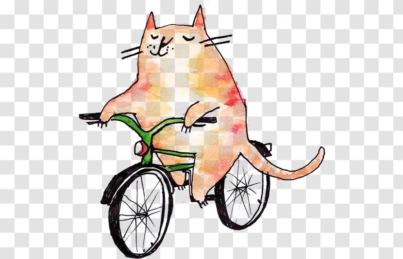 Cat Bicycle Illustration Cycling Mountain Bike - Illustrator Transparent PNG