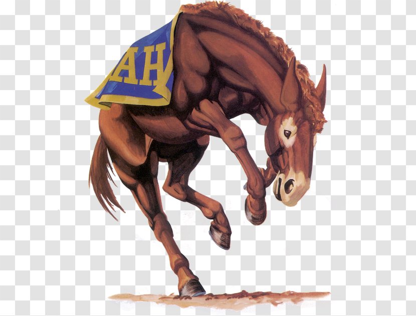 Alamo Heights High School Junior National Secondary Mule Horse - Education Transparent PNG