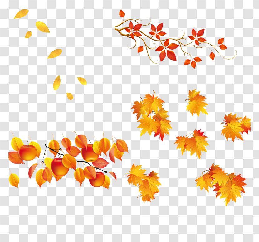 Leaf Autumn - Flower Transparent PNG