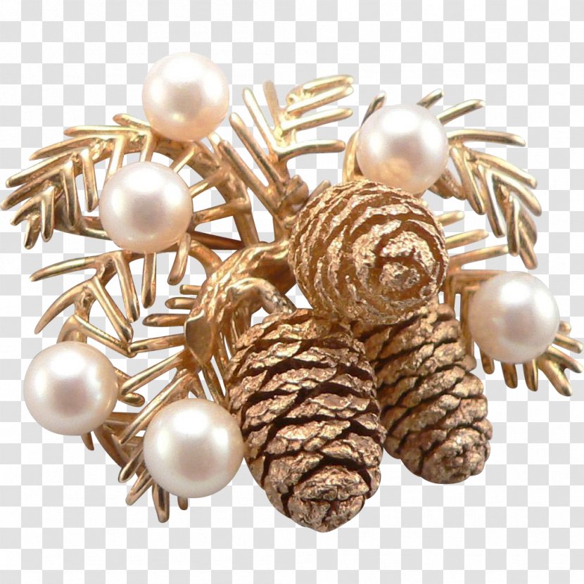 Jewellery Earring Clothing Accessories Gemstone Brooch - Pine Cone Transparent PNG