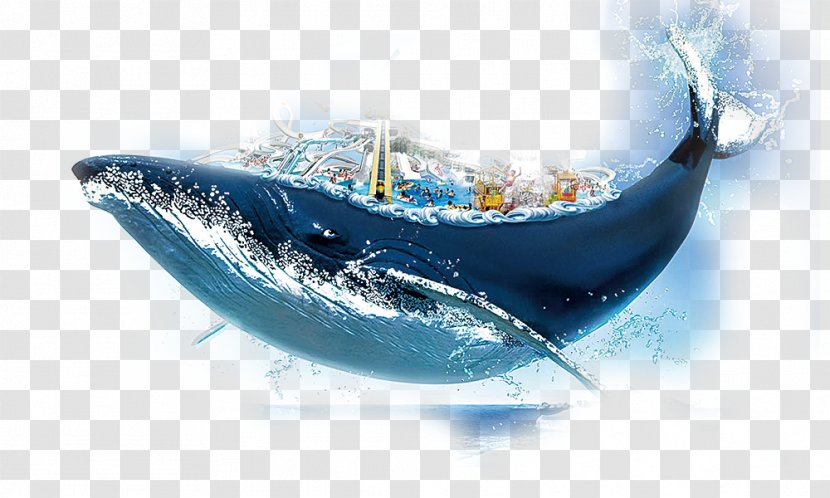 Poster Easel Sea - Dolphin - Waves Whale Element Transparent PNG