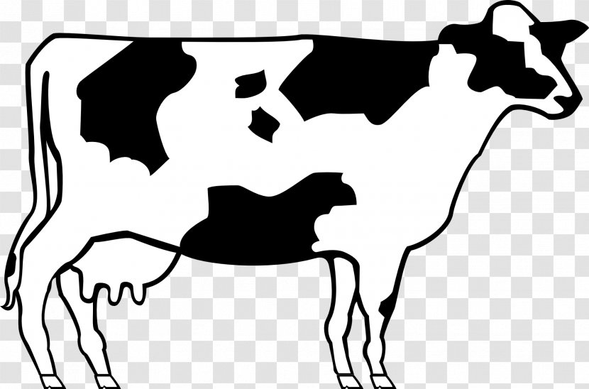 Ayrshire Cattle Beef Shorthorn Clip Art - Horse Like Mammal - Cow Transparent PNG