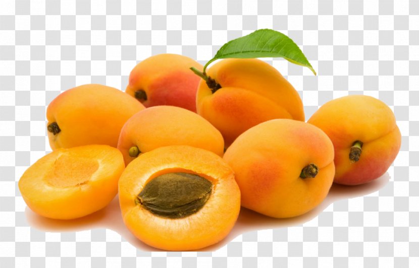 Organic Food Apricot Oil Fruit Peach - Vegetable - Fresh Transparent PNG