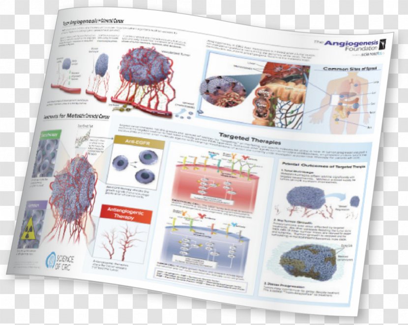 Organism Brand Brochure - Paper Infographic Transparent PNG