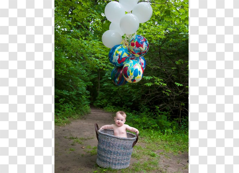 Garden Balloon Toy Tree Recreation - Children's Photography Gallery Transparent PNG