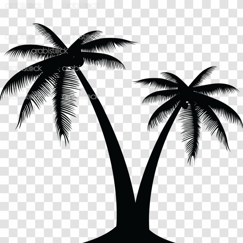 Coconut Vector Graphics Clip Art Palm Trees - Plant Transparent PNG