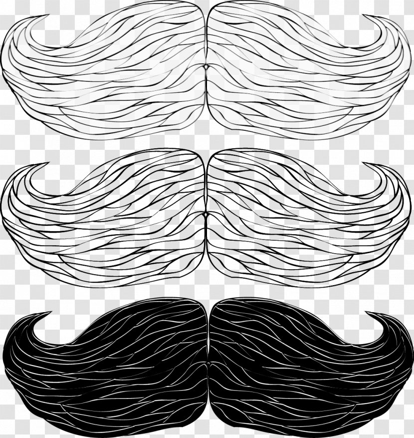 Drawing Beard - Frame - Vector Transparent PNG