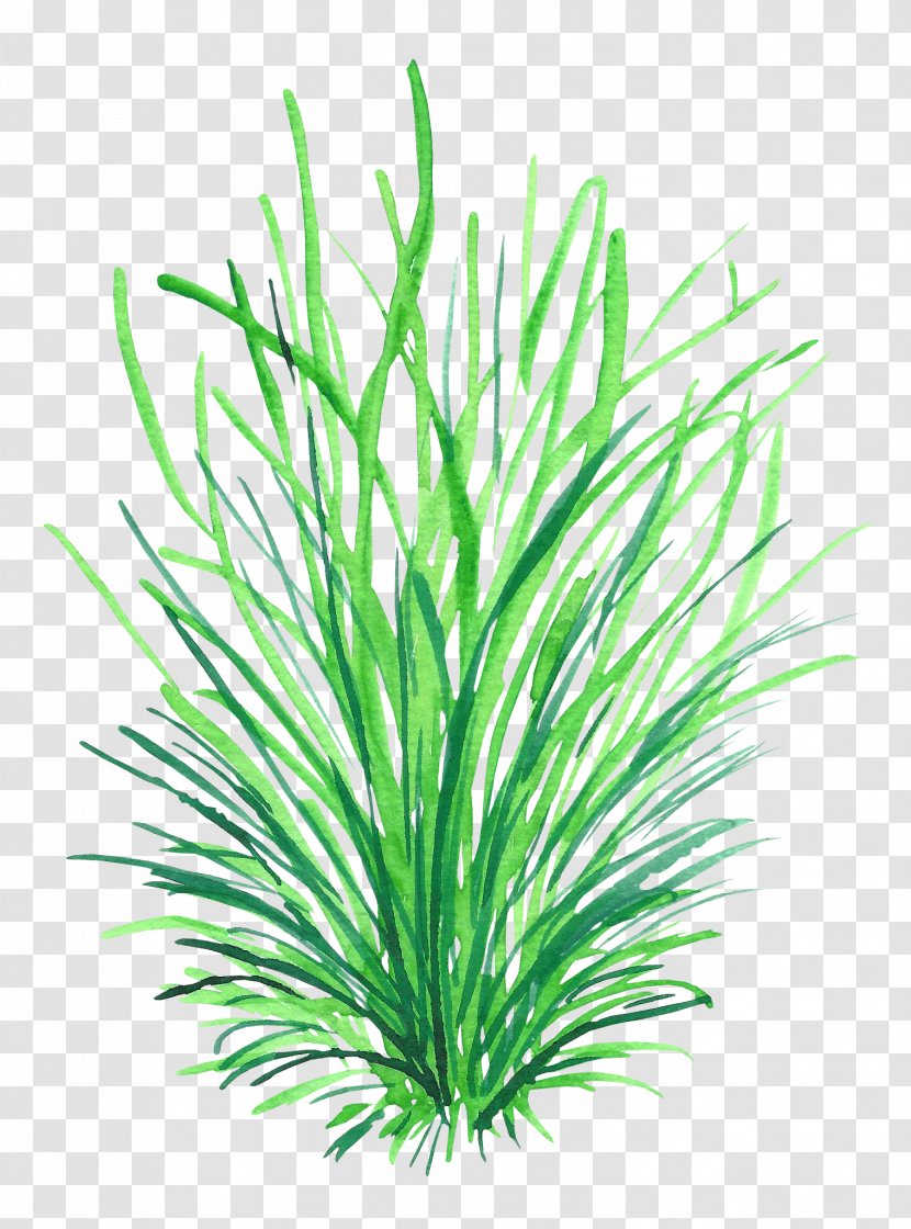 Computer Graphics Drawing - Pixel - Hand-painted Grass Transparent PNG