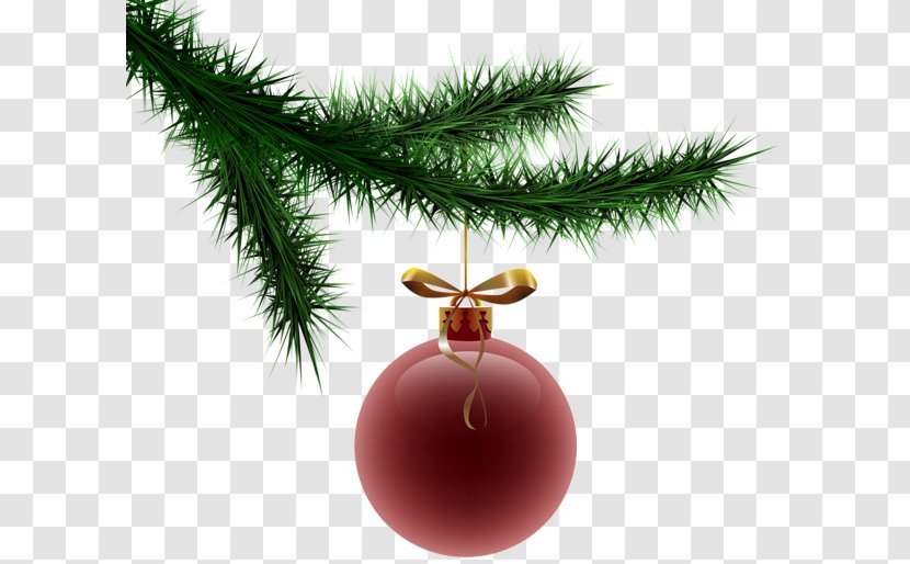 Christmas Tree Decoration Clip Art - Branch Transparent PNG