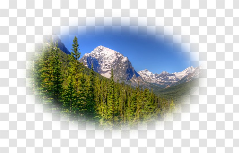 Mount Scenery Desktop Wallpaper Tree Hill Station Computer - Sky Plc Transparent PNG