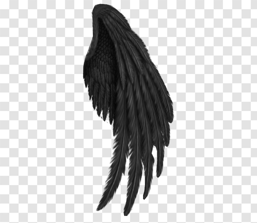 Angel Cartoon - Devil - Claw Feather Transparent PNG