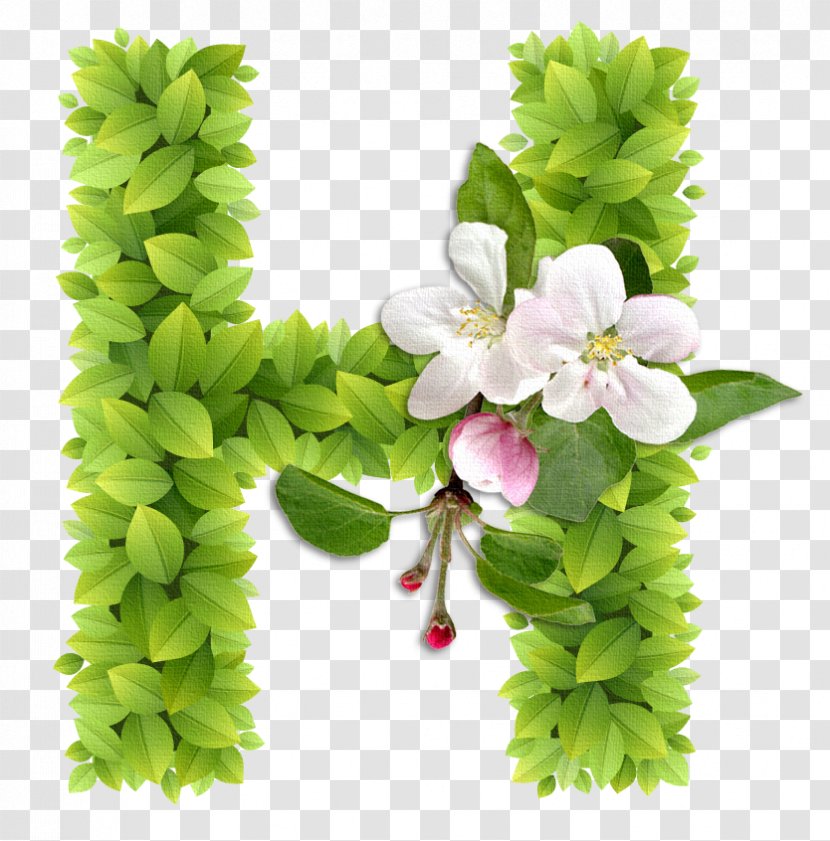 Letter Alphabet C - Flowers Transparent PNG