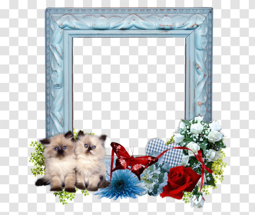 Background Frame Summer - Picture Dog Transparent PNG