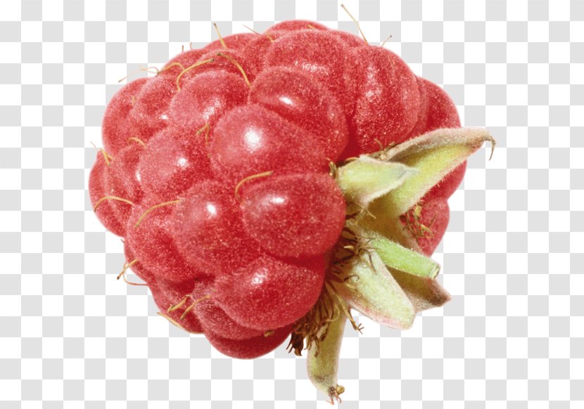 Raspberry Clip Art - Natural Foods Transparent PNG
