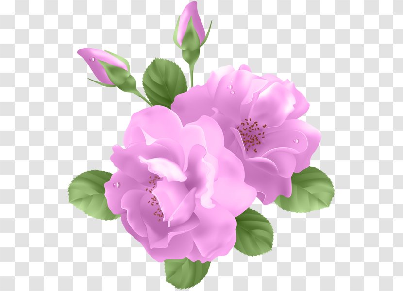 Rose Flower Lavender Clip Art - Violet - Purple Watercolor Flowers Transparent PNG