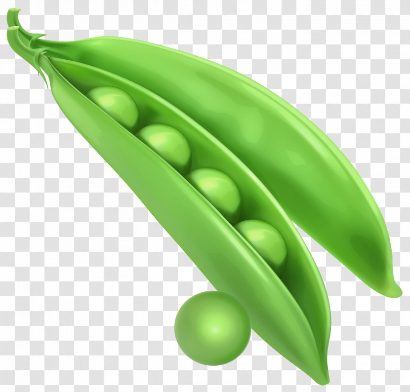 Pea Vegetable Clip Art - Green Transparent PNG