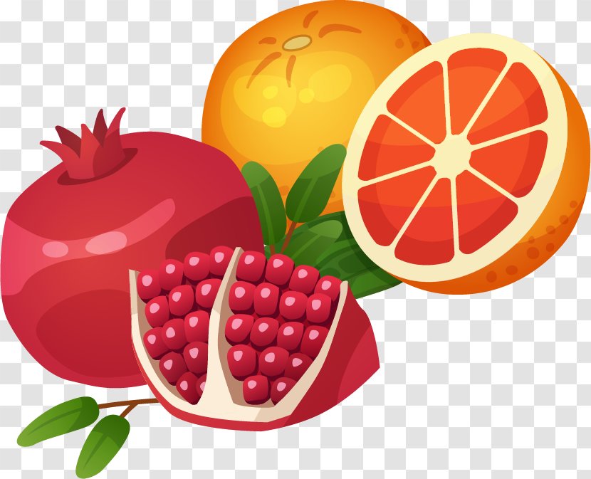 Pomegranate Food Auglis Photography - Orange Vector Material Transparent PNG