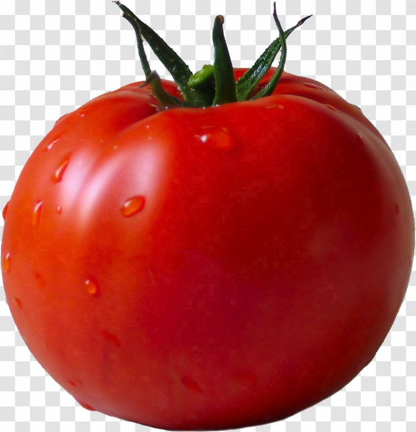 Tomato Vegetable Clip Art - Fruit - Sauce Transparent PNG