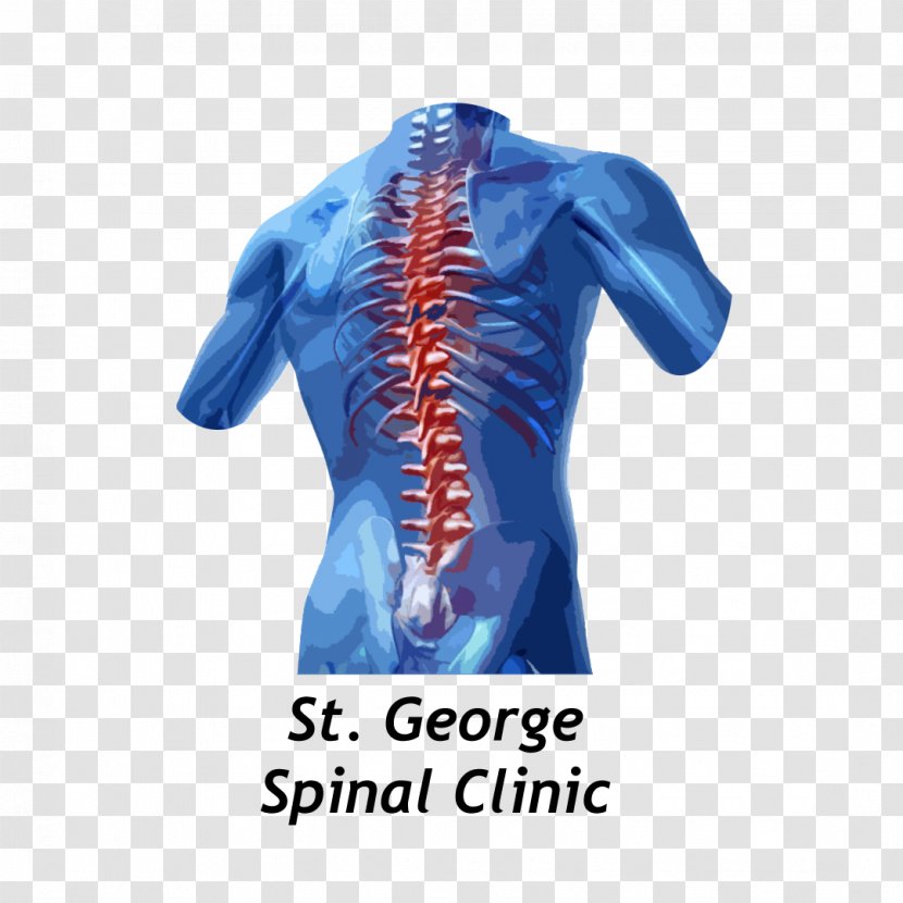 Low Back Pain Vertebral Column Human Therapy Middle - Symptom Transparent PNG
