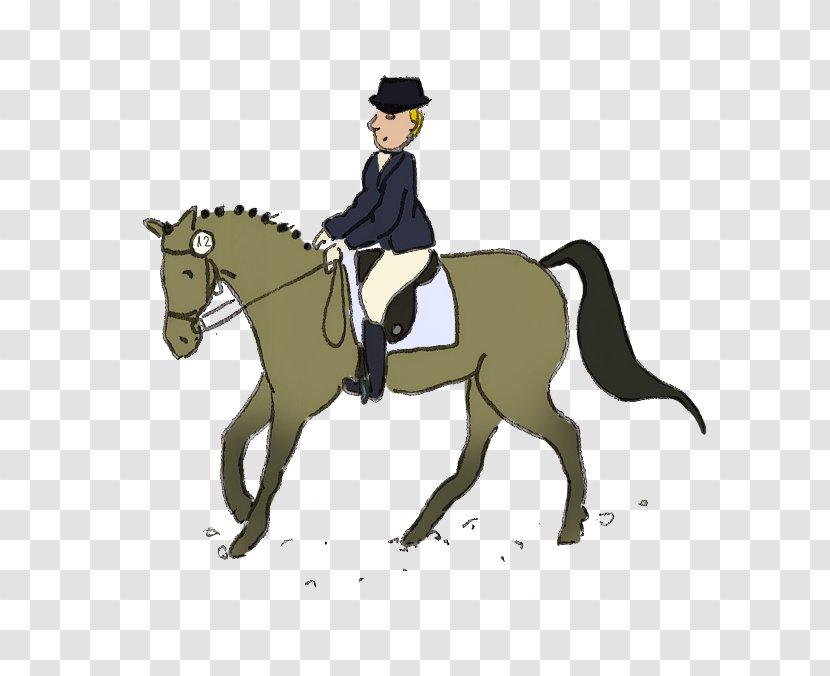 Mustang Pony Hunt Seat Dressage Stallion - Joint Transparent PNG