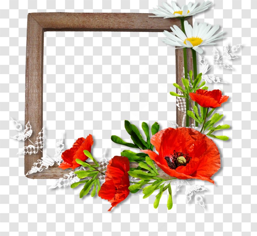 Picture Frames Floral Design Photography Flower - Floristry Transparent PNG