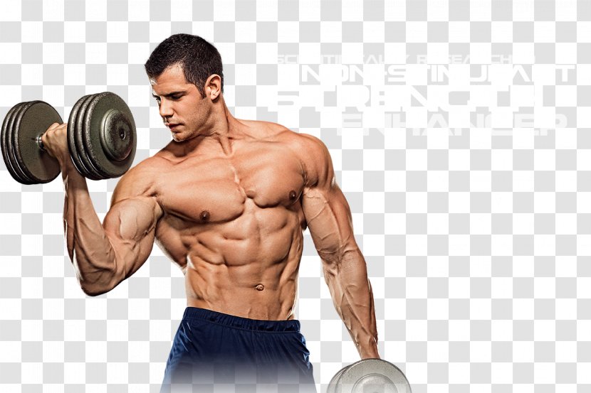 Muscle Bodybuilding Physical Fitness Weight Training Biceps - Watercolor Transparent PNG
