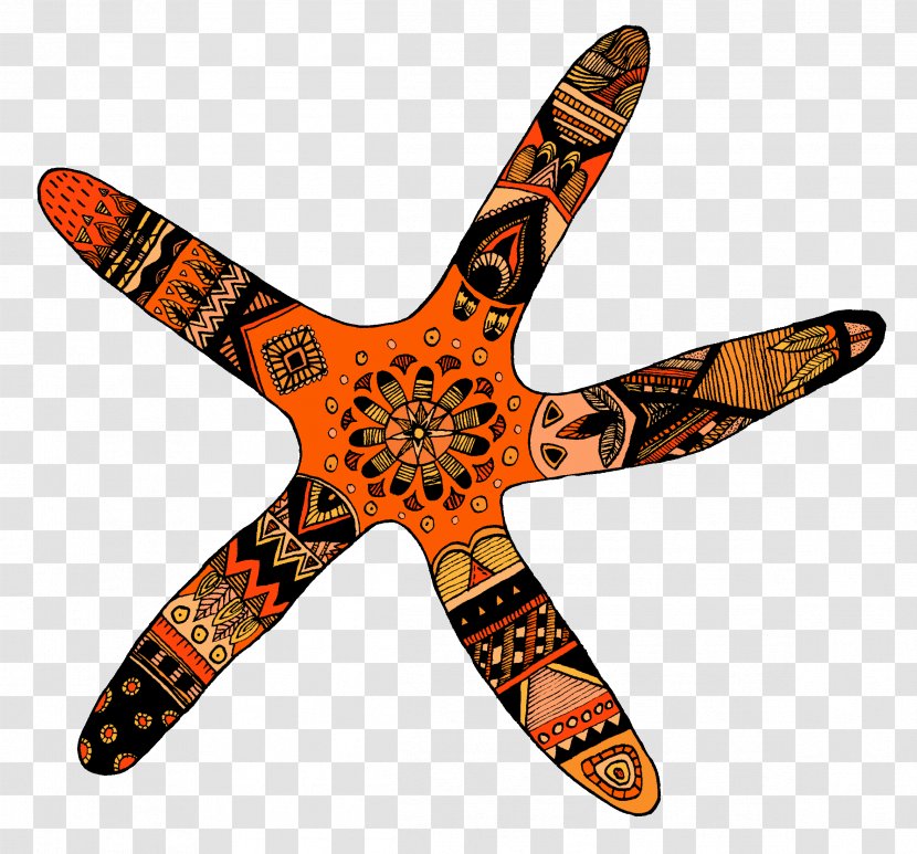 Starfish Food Airplane - Aircraft Transparent PNG