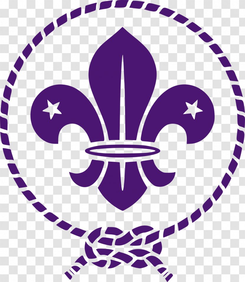 Scouting For Boys World Organization Of The Scout Movement Emblem Fleur-de-lis - Artwork Transparent PNG