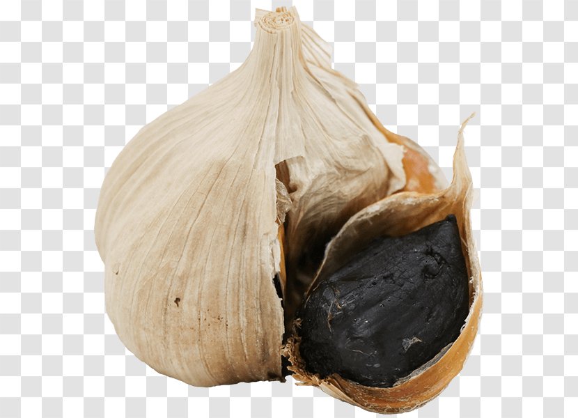 Elephant Garlic （株）ＴＡＫＫＯ商事 Bread Ajoene Transparent PNG