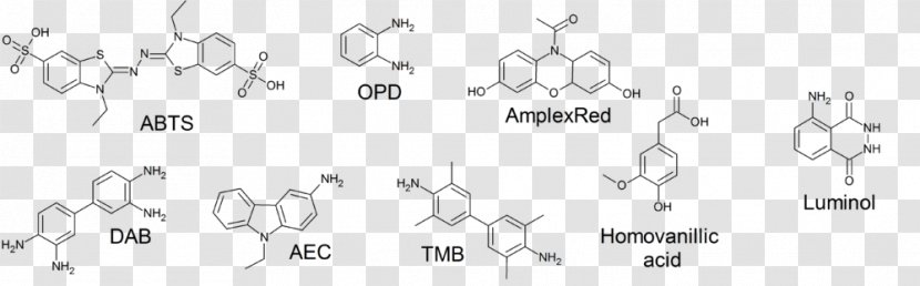 Horseradish Peroxidase Enzyme Substrate Hydrogen Peroxide - Black And White - Cofactor Transparent PNG