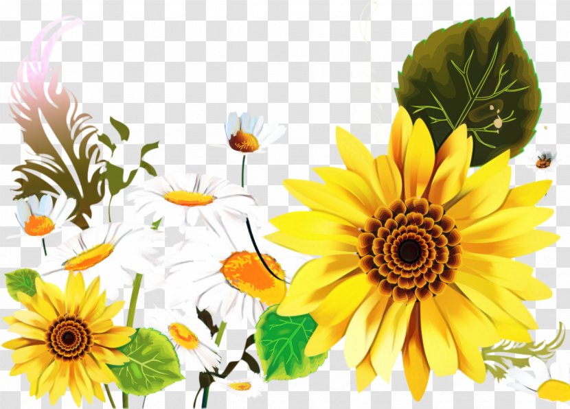 Flowers Background - Cut - Still Life Annual Plant Transparent PNG