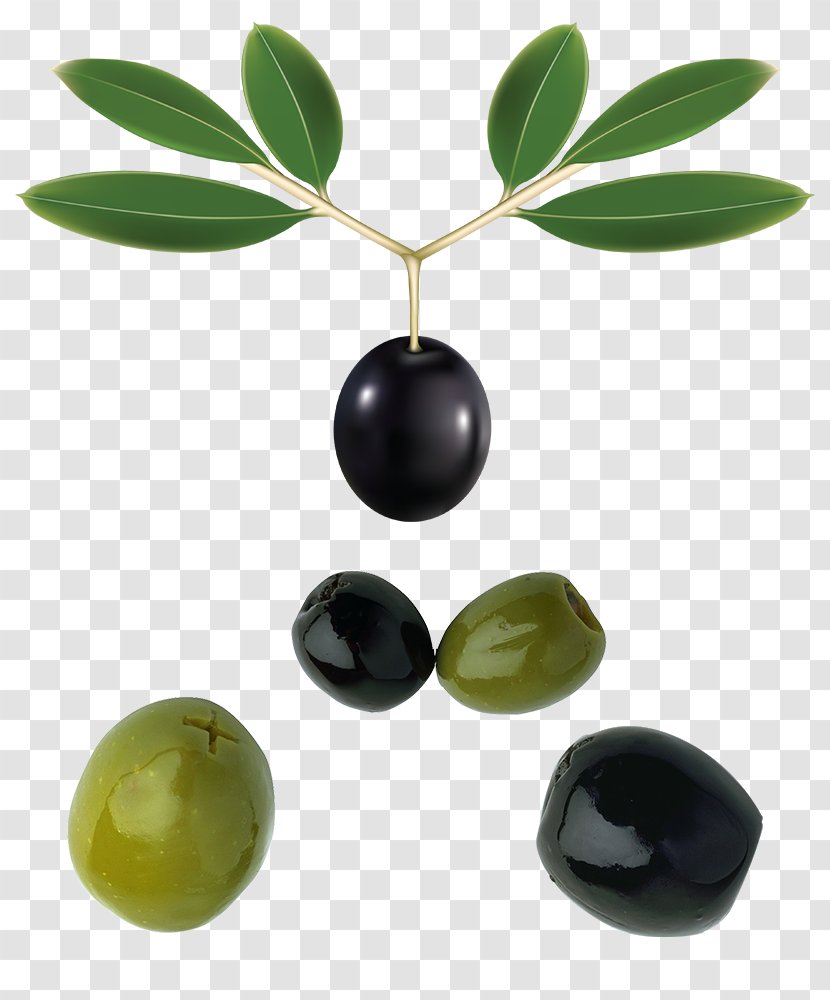 Olive Leaf Oil - Black Green With Foliage Transparent PNG