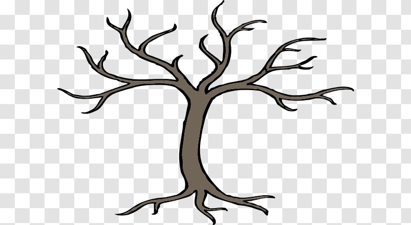 Branch Tree Root Clip Art - Stockxchng - Images Of Branches Transparent PNG