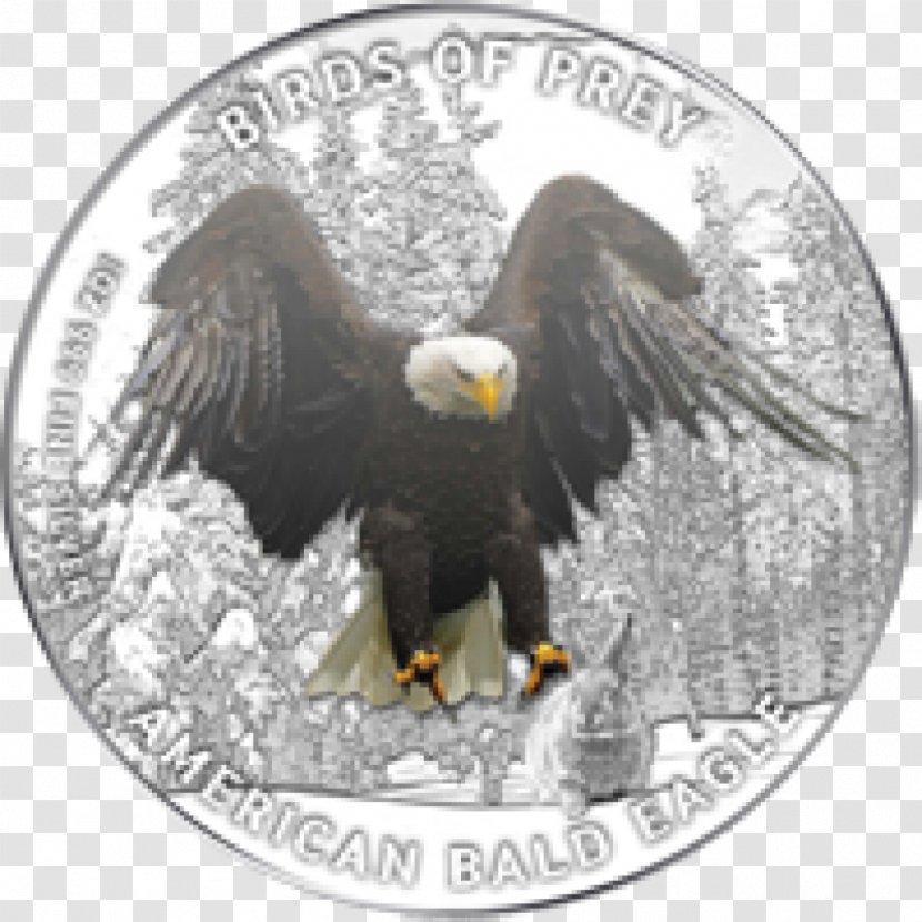 Bald Eagle Silver Coin Proof Coinage - Two Pounds Transparent PNG