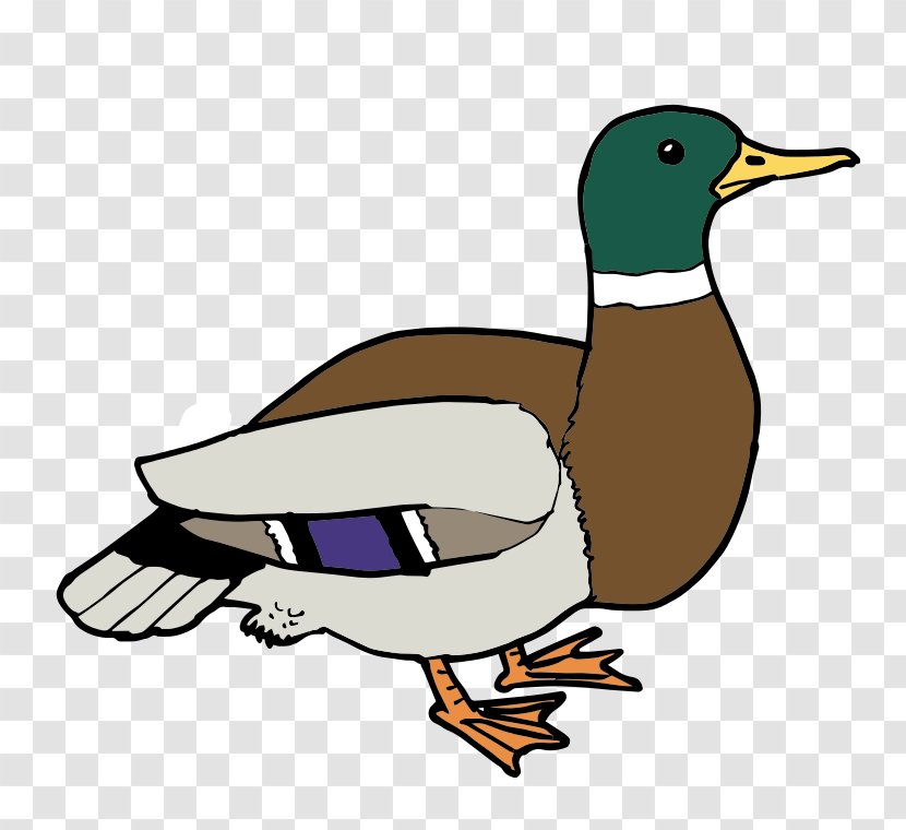 Donald Duck Baby Ducks Clip Art - Muscovy Transparent PNG