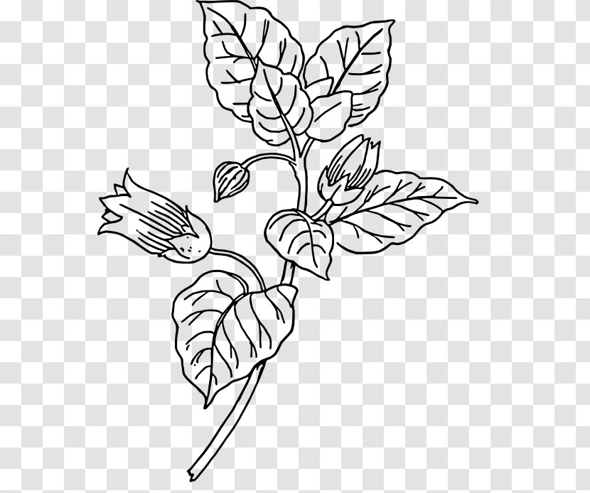 Belladonna Botany Clip Art - Hand - Tatoo Transparent PNG