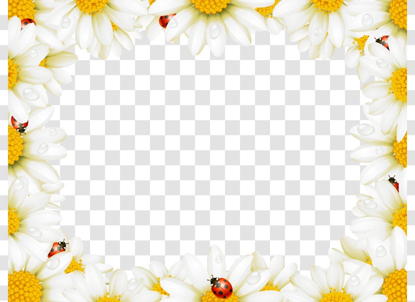 Flower Picture Frame Chamomile Royalty-free - Floral Design - Beautiful White Wild Chrysanthemum Border Transparent PNG