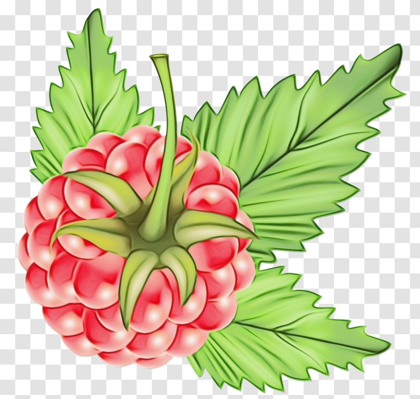 Artificial Flower - Fruit - Seedless Transparent PNG