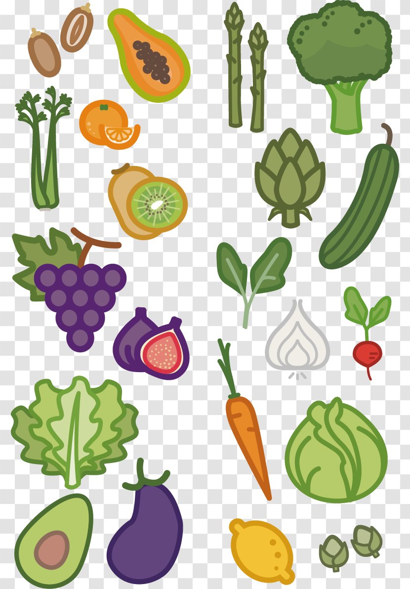 Fruit Vegetable Cartoon Clip Art - Organism - Fruits And Vegetables Vector Transparent PNG