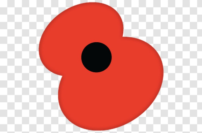 Remembrance Poppy The Royal British Legion Armistice Day Common - Flower - And Branch Christmas Transparent PNG