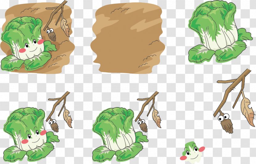 Napa Cabbage Chinese Vegetable Illustration - Cartoon - Ground Expression Vector Transparent PNG