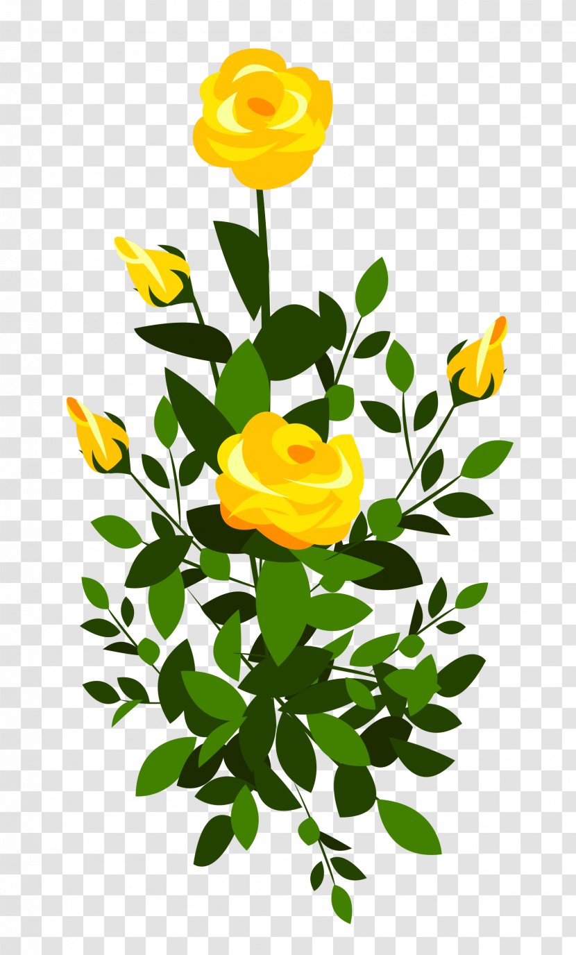 Rose Shrub Yellow Clip Art - Floristry - Bush Cliparts Transparent PNG