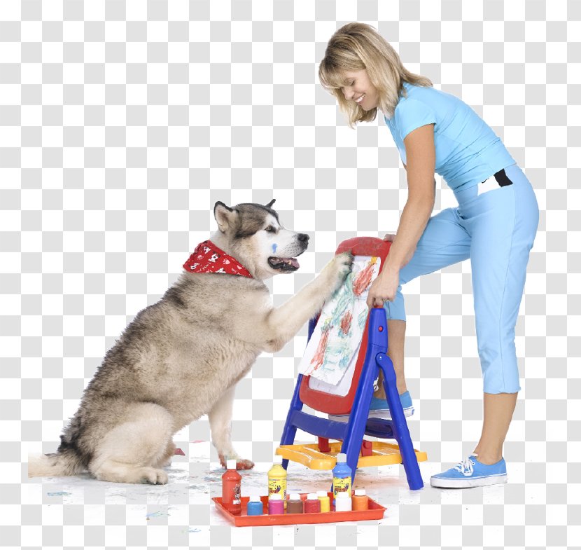 Dog Breed Puppy Leash Obedience Training - Play Transparent PNG