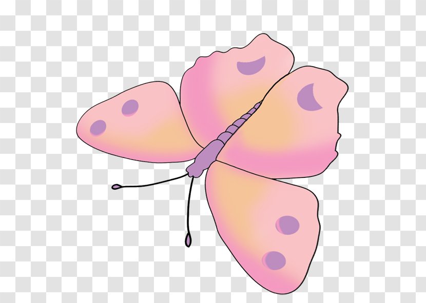 Butterfly Insect Pink Drawing Clip Art Transparent PNG