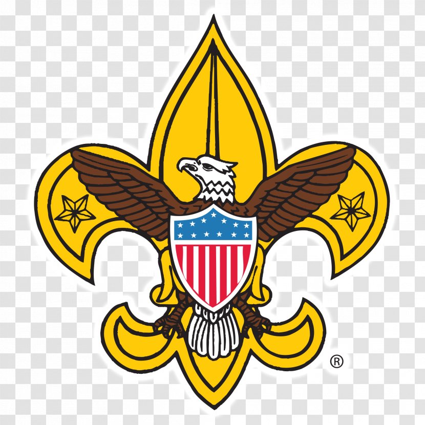 Boy Scouts Of America Scouting World Scout Emblem Cub Eagle - Universal Logo Transparent PNG