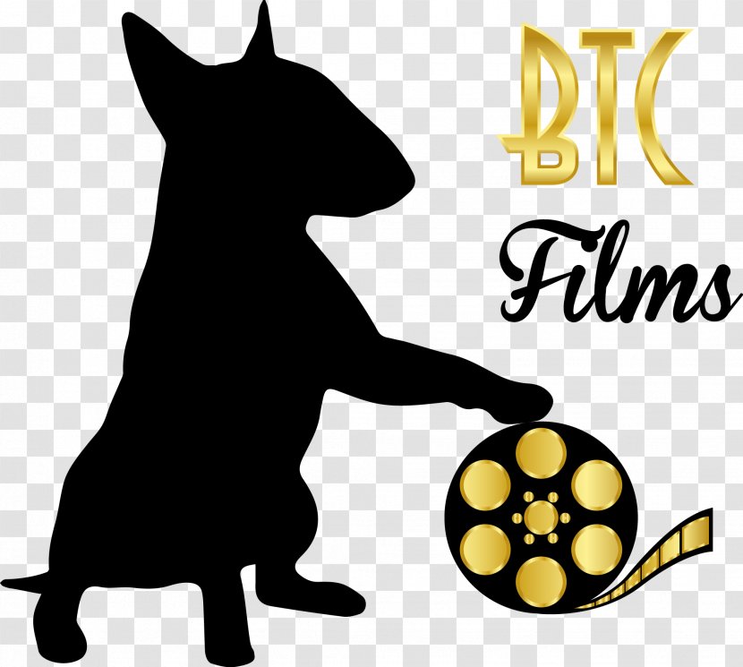 Dog Whiskers Cinematography Short Film Cat Transparent PNG