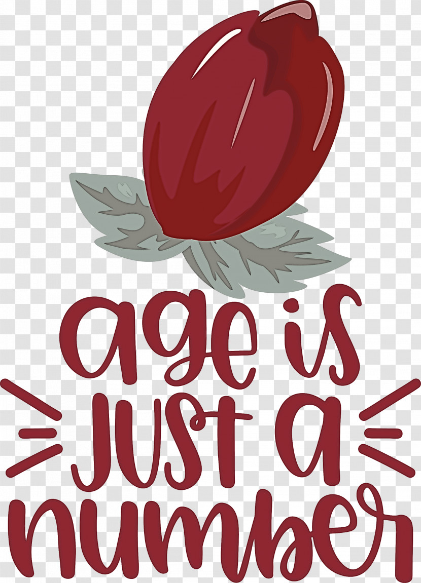 Birthday Age Is Just A Number Transparent PNG