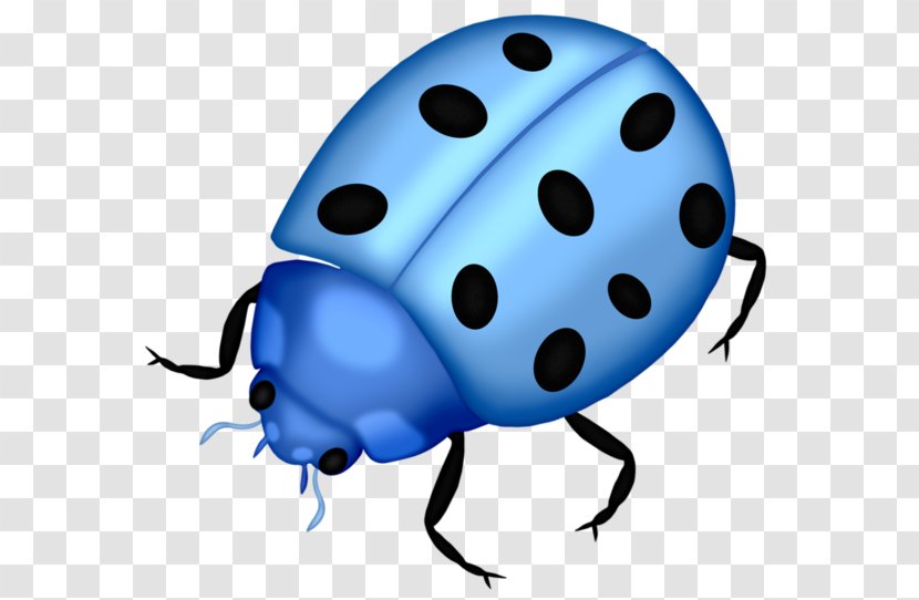 Insect Ladybird Clip Art - Beneficial Insects - Blue Ladybug Transparent PNG