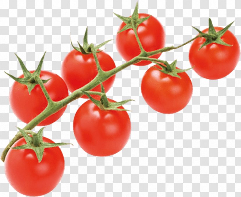 Plum Tomato Bush Vegetable Food - Australian Desert Raisin - Papaya Juice Transparent PNG