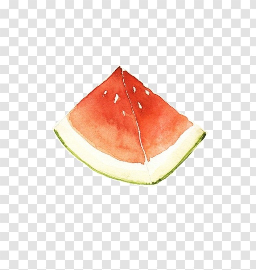 Watercolor Painting Watermelon Paper Illustrator Illustration - Cucumber Gourd And Melon Family Transparent PNG